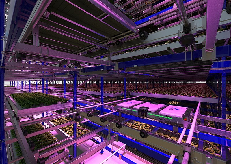 Automated Vertical Farming System